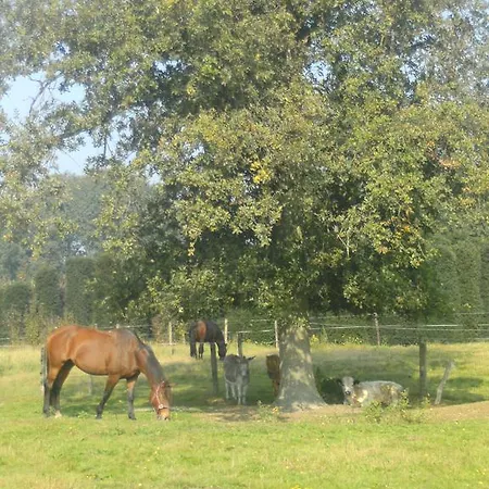 Farm Luythoeve Çiftlik konaklama *