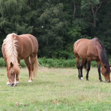 Farm Luythoeve Meeuwen